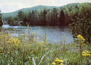 
Wildflowers frame another view of the lake.
